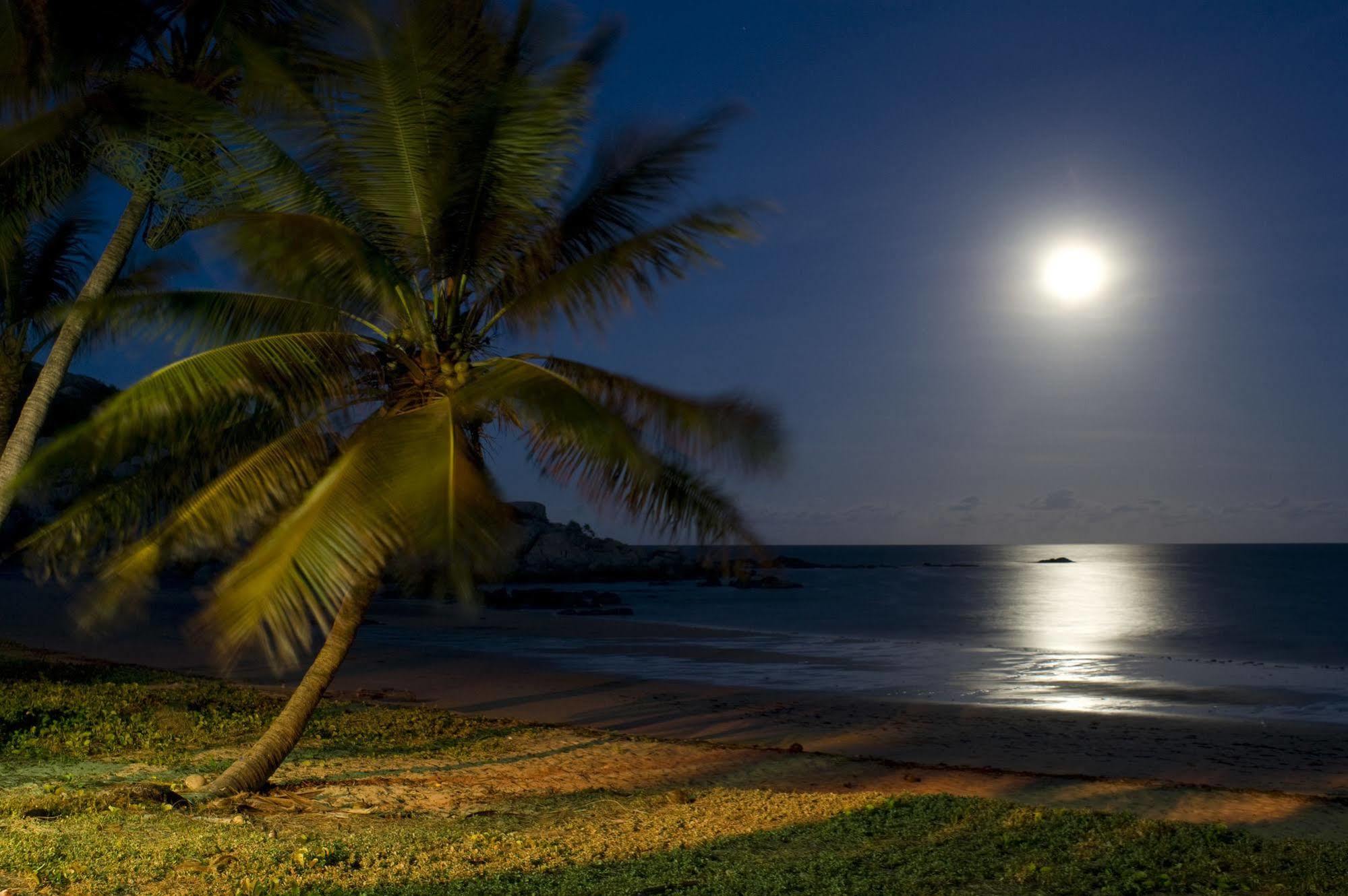 Rose Bay Resort Bowen Esterno foto
